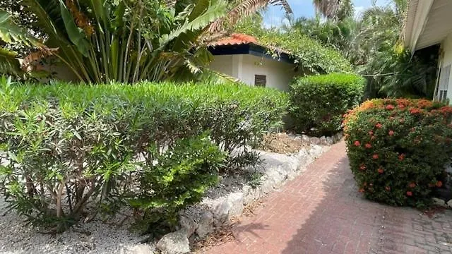 Blue Marlin Apartments Willemstad