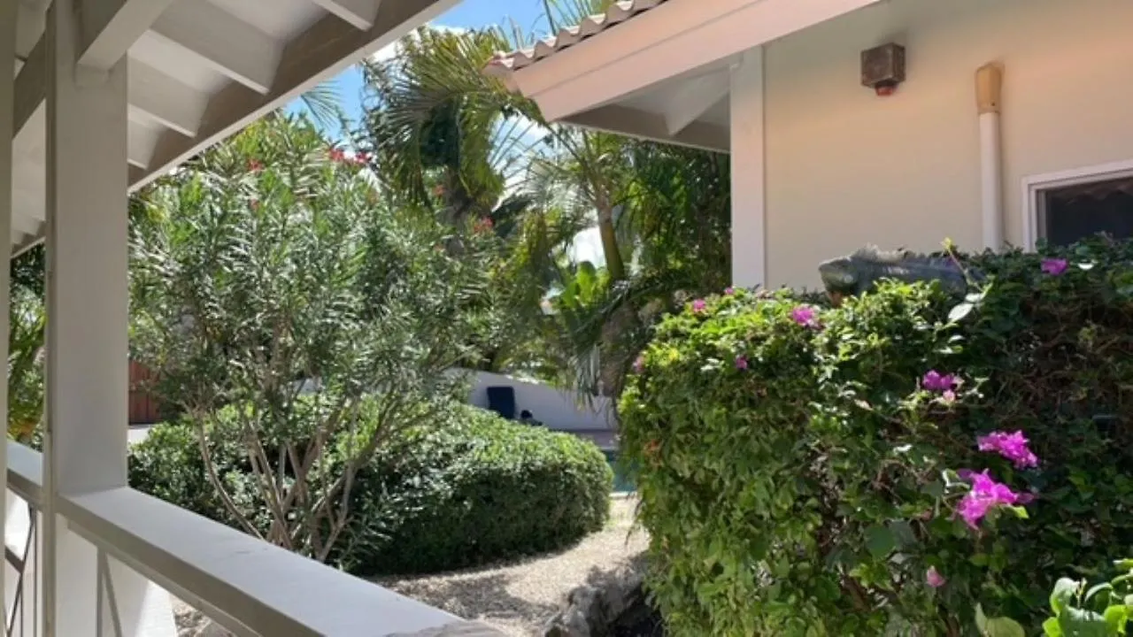 Blue Marlin Apartments Willemstad Curacao