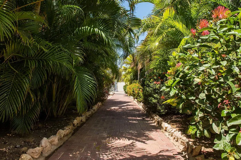 Blue Marlin Apartments Willemstad